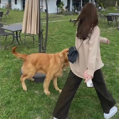 口袋忍者