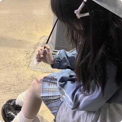 怪盗与剑